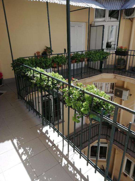 Oaza 26 Deo 2 Belgrado Exterior foto